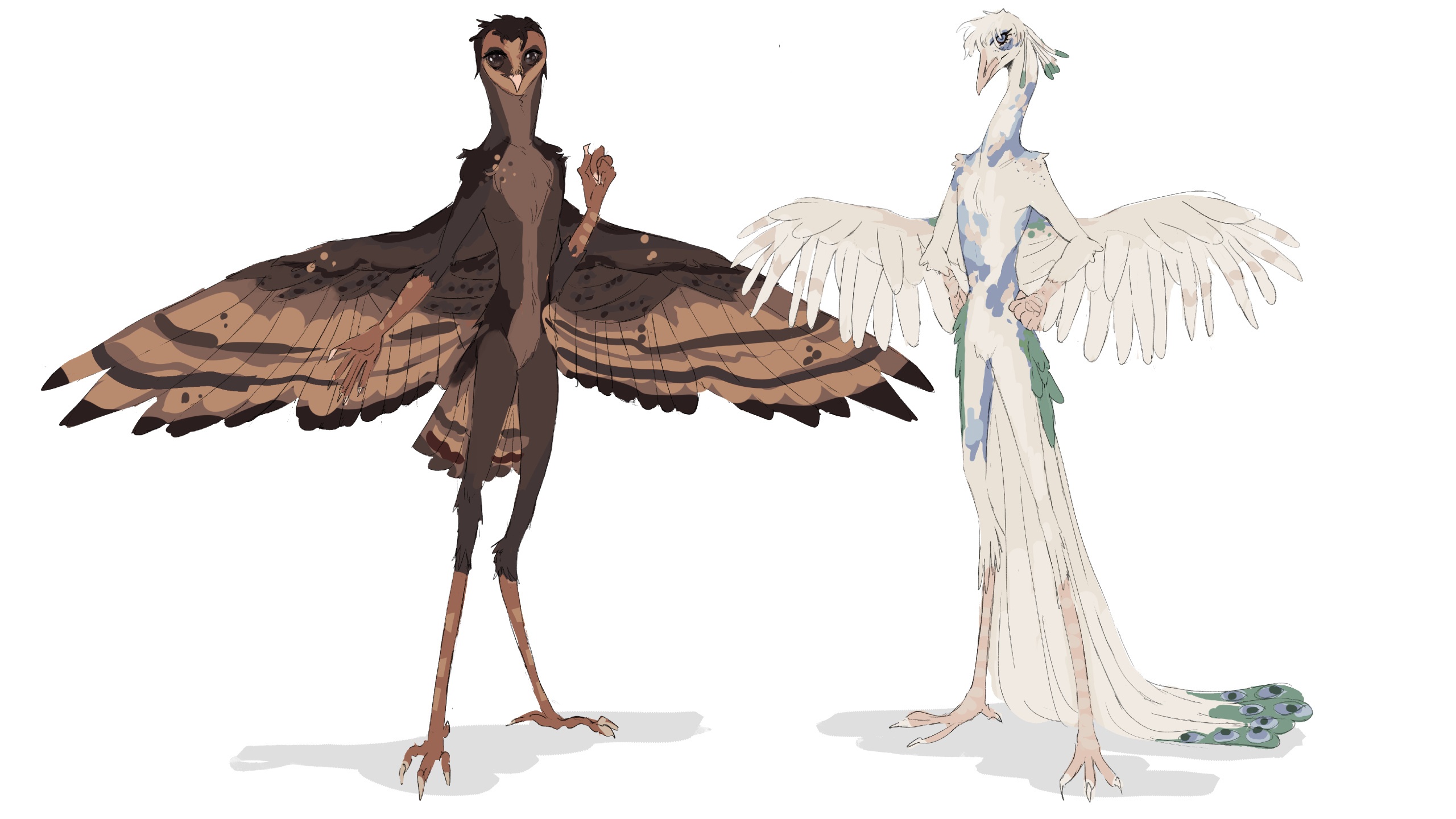 Some personal designs inspired by unique birds I've ran into.